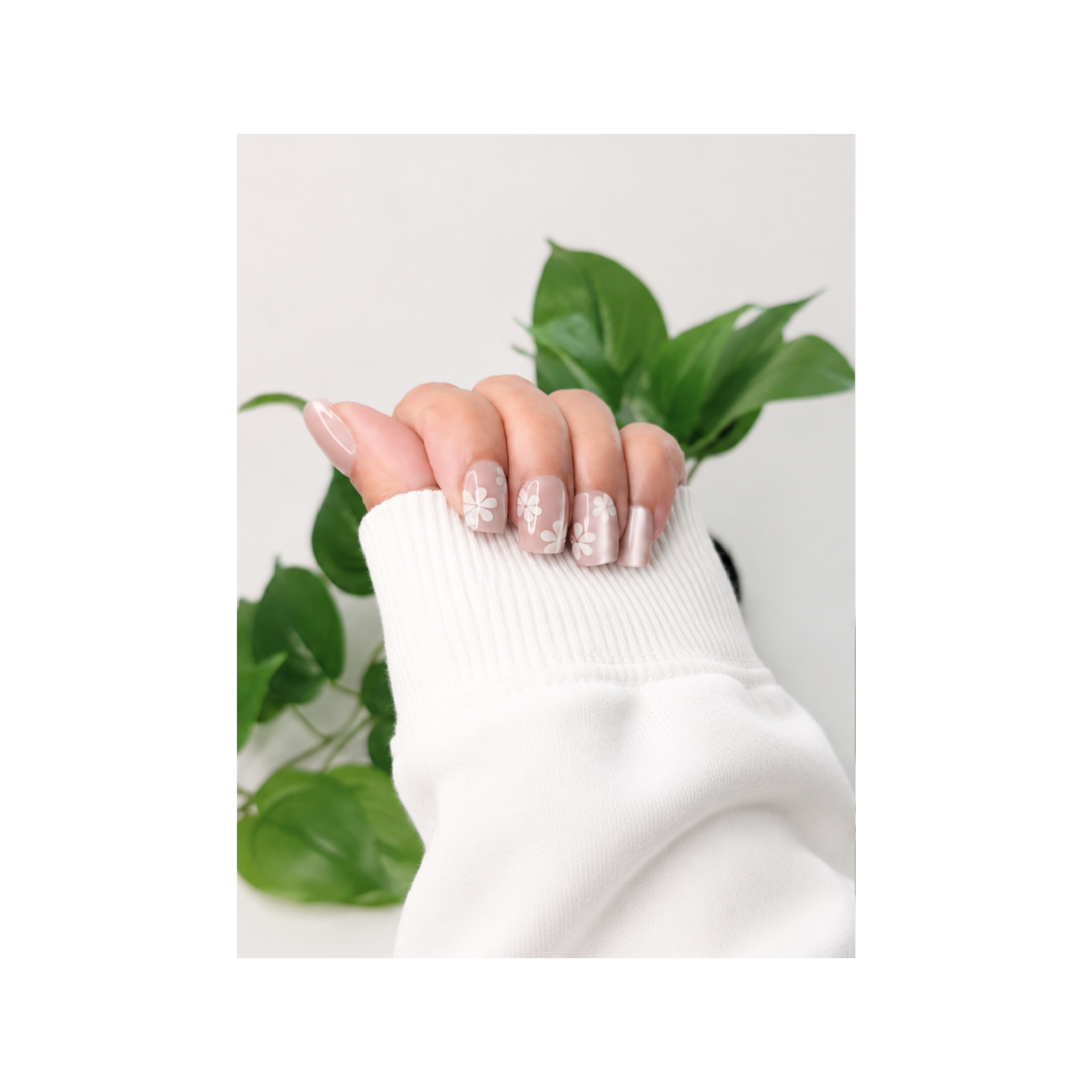 AURA FLORA