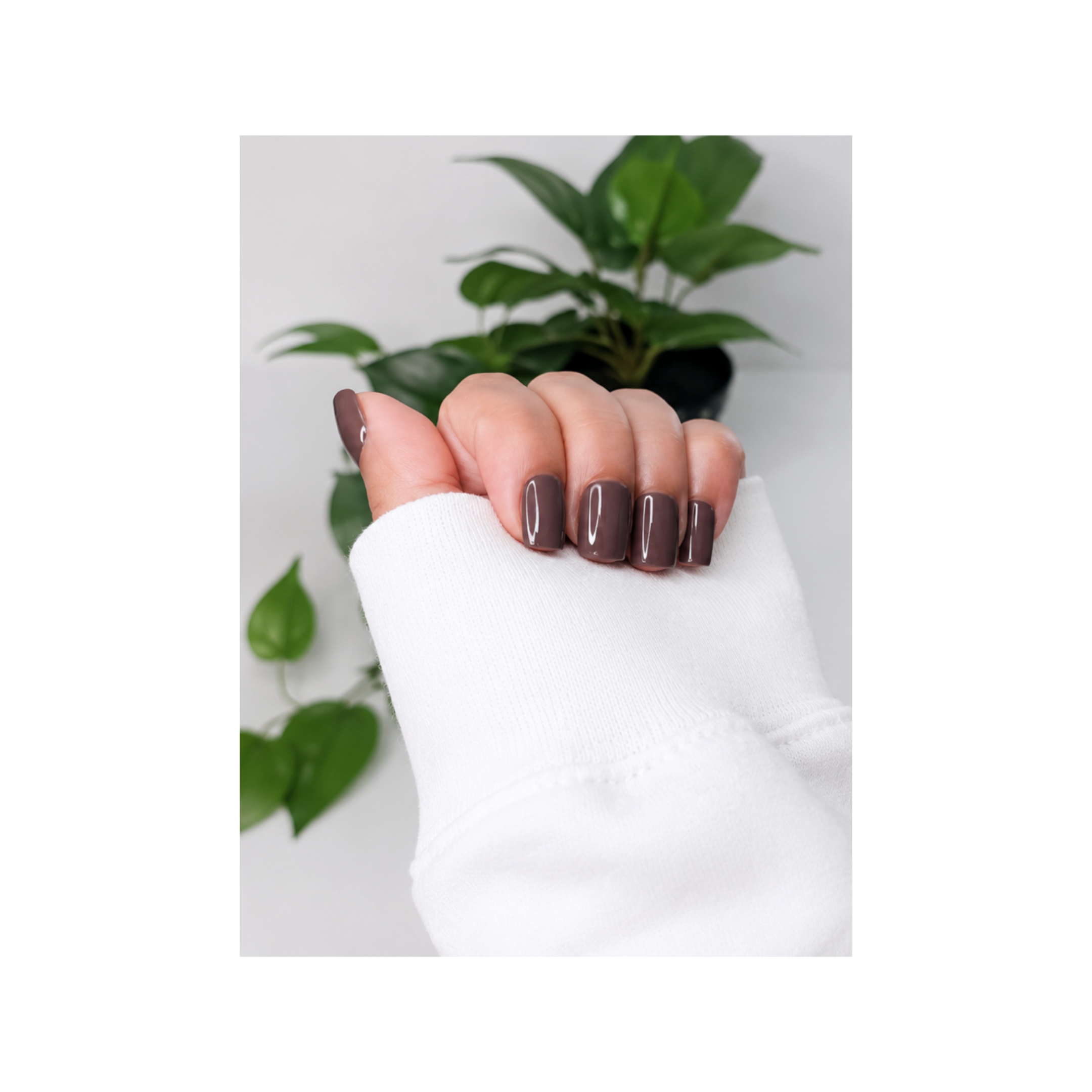 CHOCOLATE EMBER