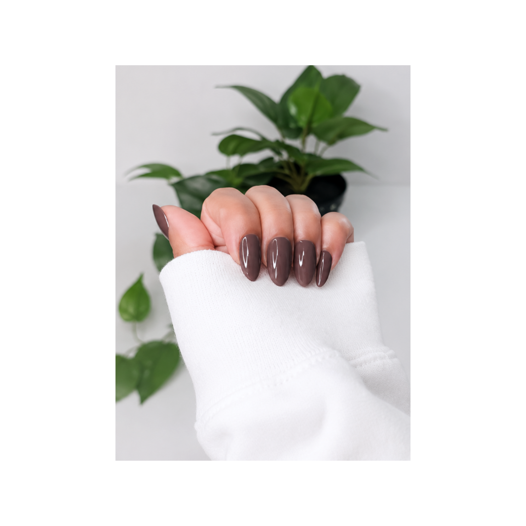 CHOCOLATE EMBER