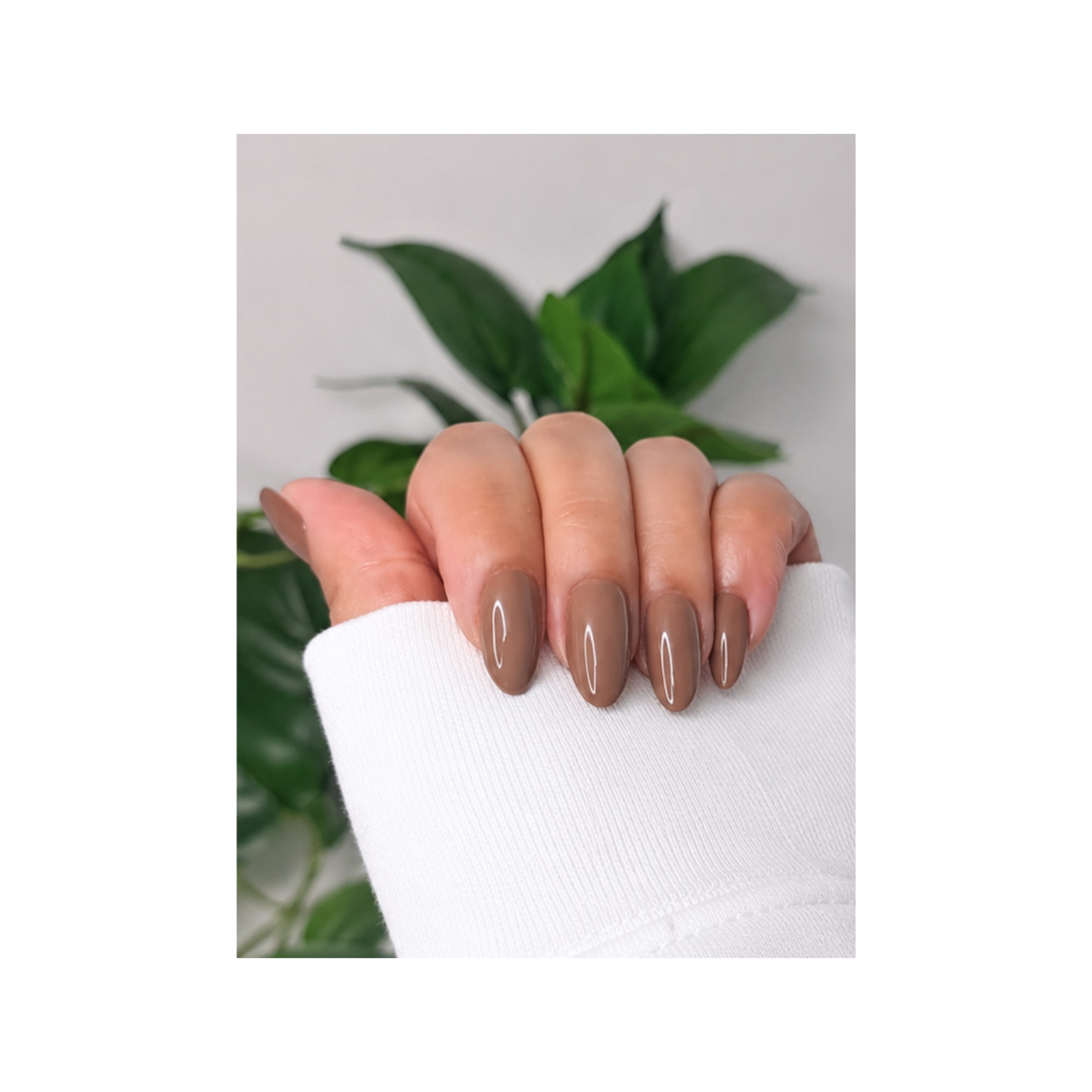 MOCHA MOUSSE