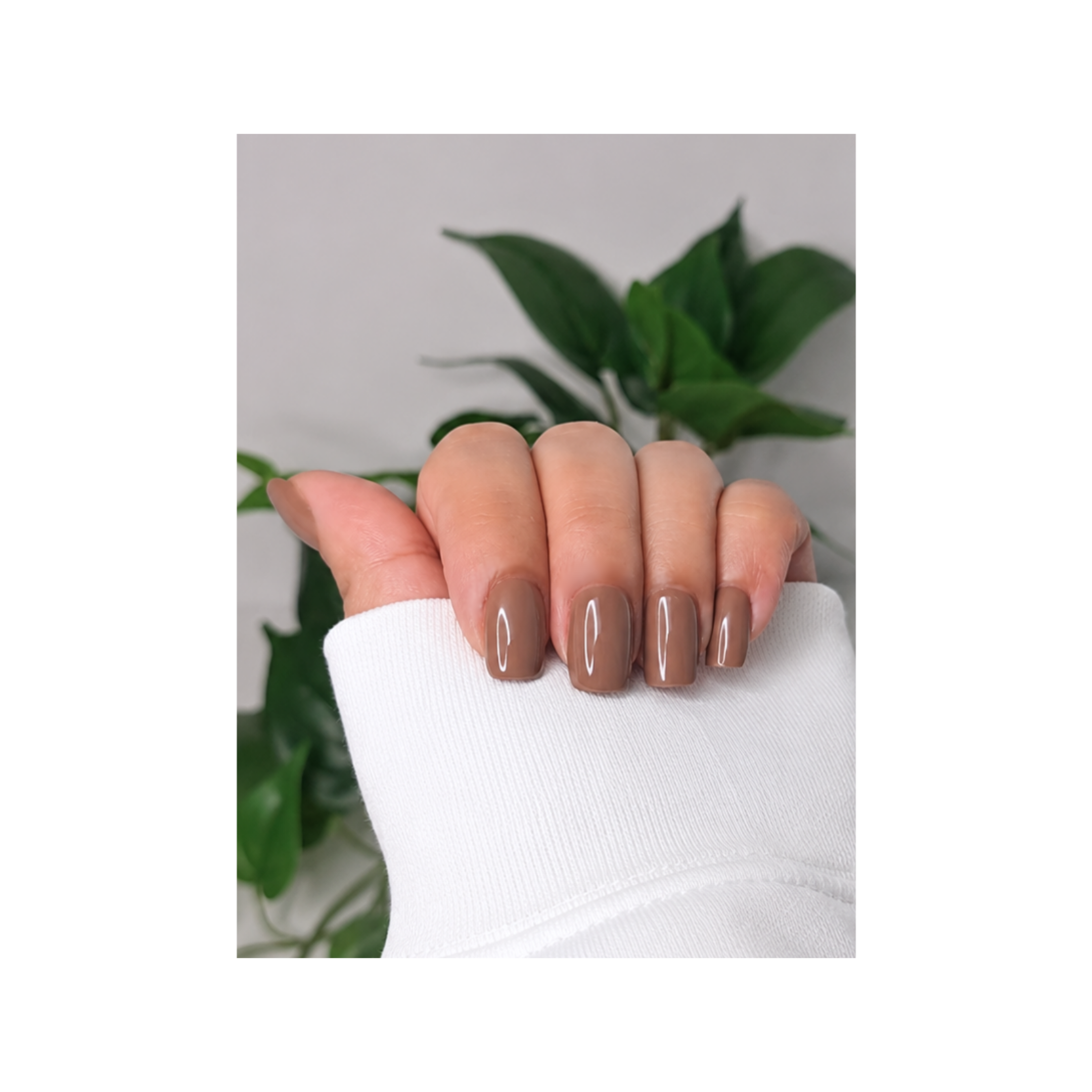 MOCHA MOUSSE